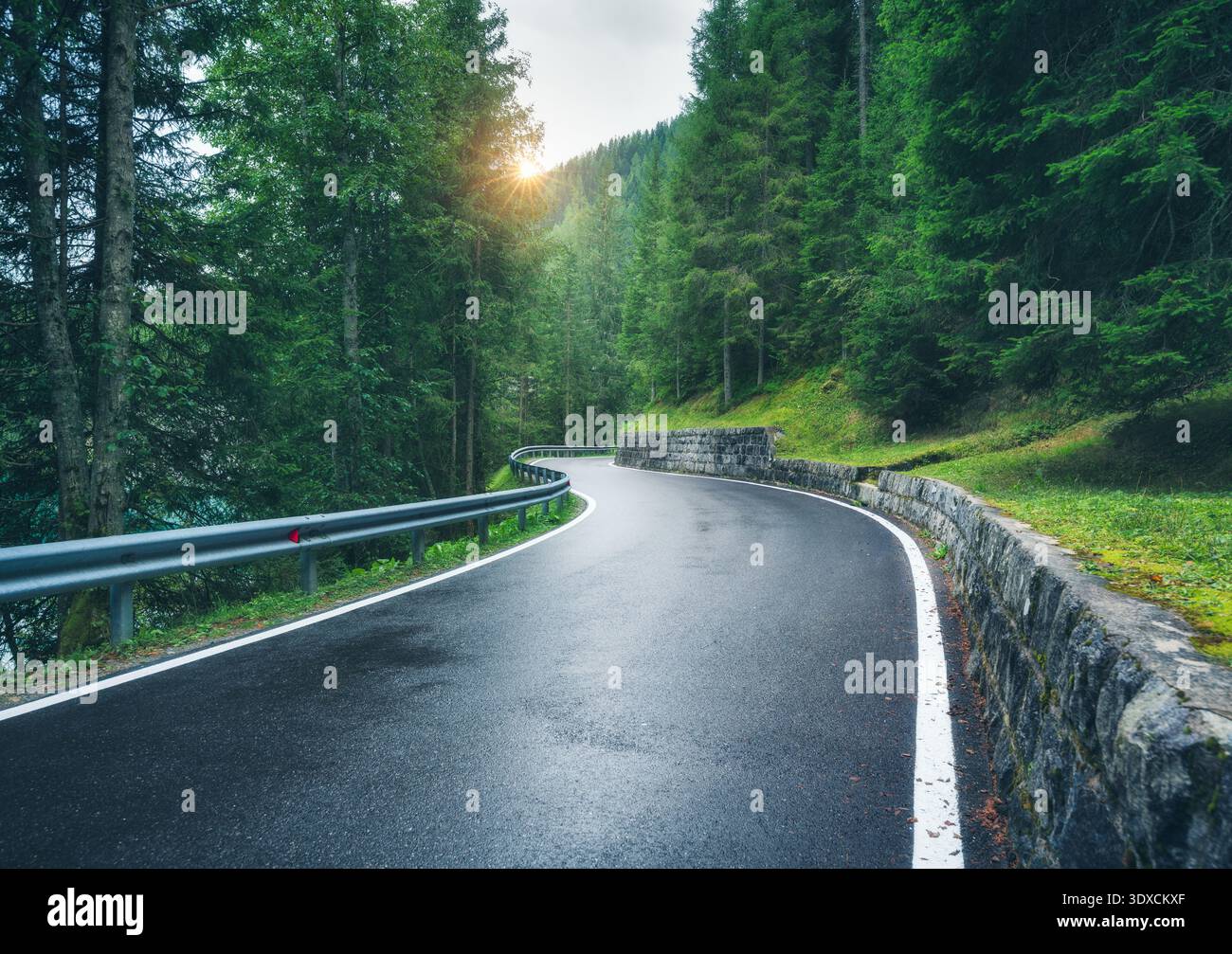 Route de montagne humide courbant à travers une forêt verte dense Banque D'Images