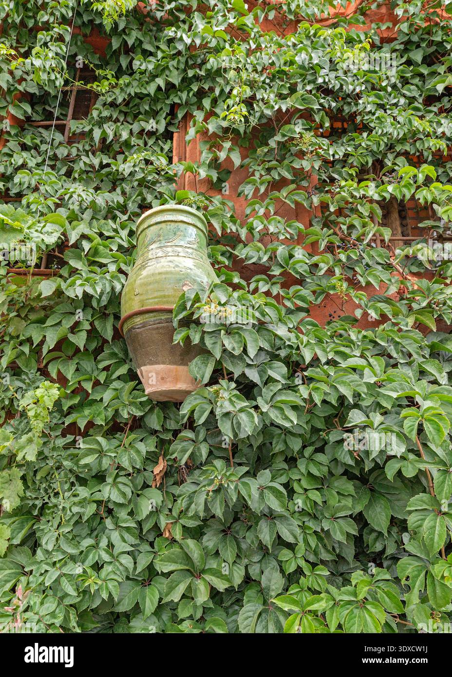 Pot de poterie vert rustique sur un mur de pierre traditionnel recouvert de feuilles de vigne vertes. Décor de jardin méditerranéen authentique et concept de voyage en Turquie. Banque D'Images