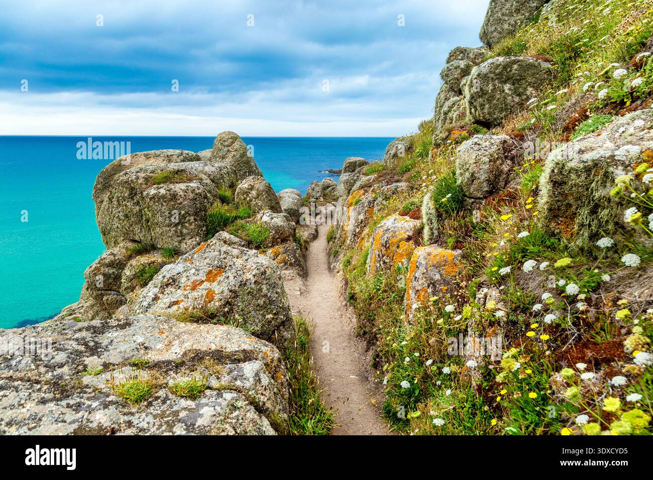 Sentier South West Coast Path près de Nanjizal Beach, Mill Bay, Penwith Peninsula, Cornwall, Angleterre Banque D'Images