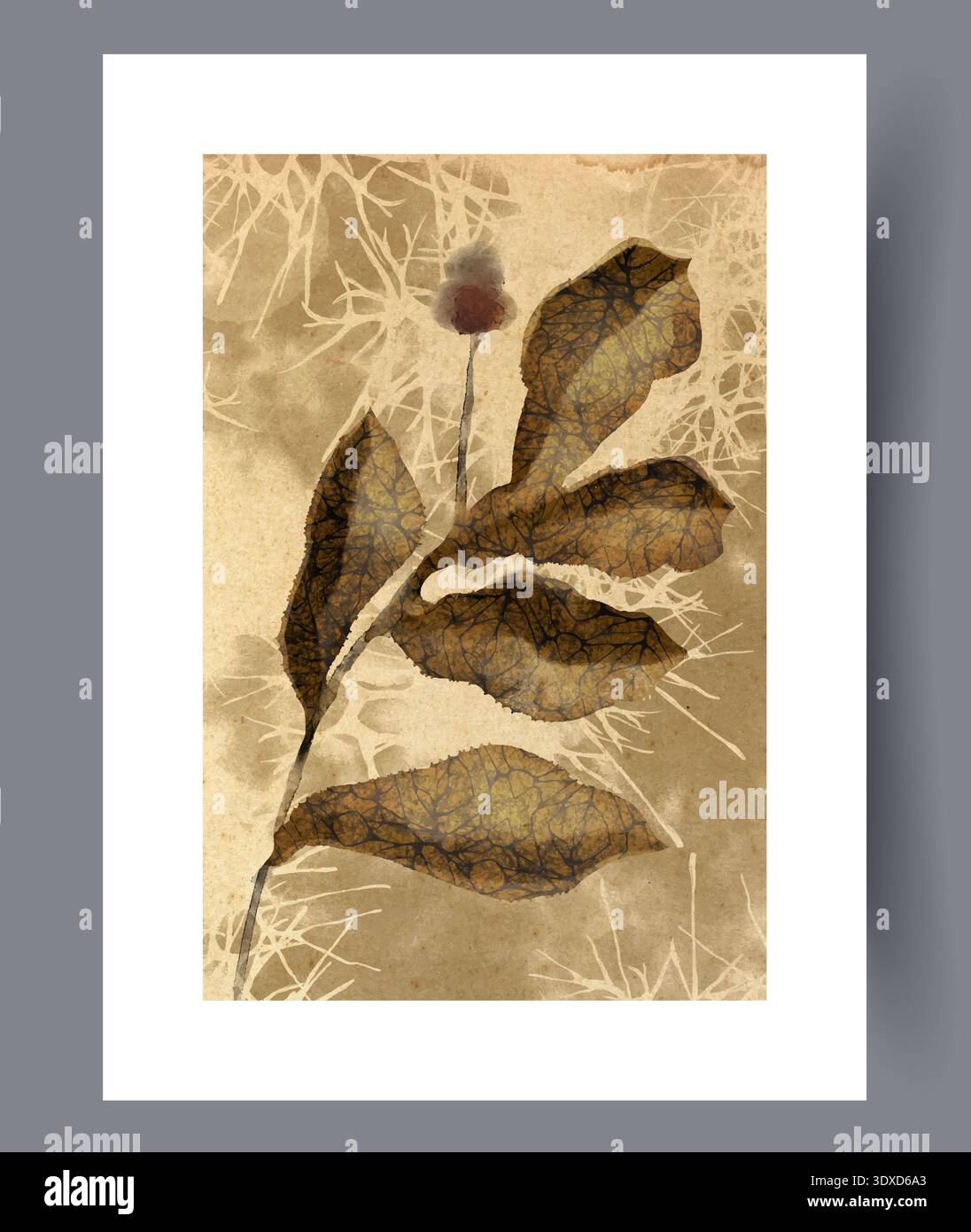 Archives botaniques montrant des feuilles pressées sur fond texturé Banque D'Images