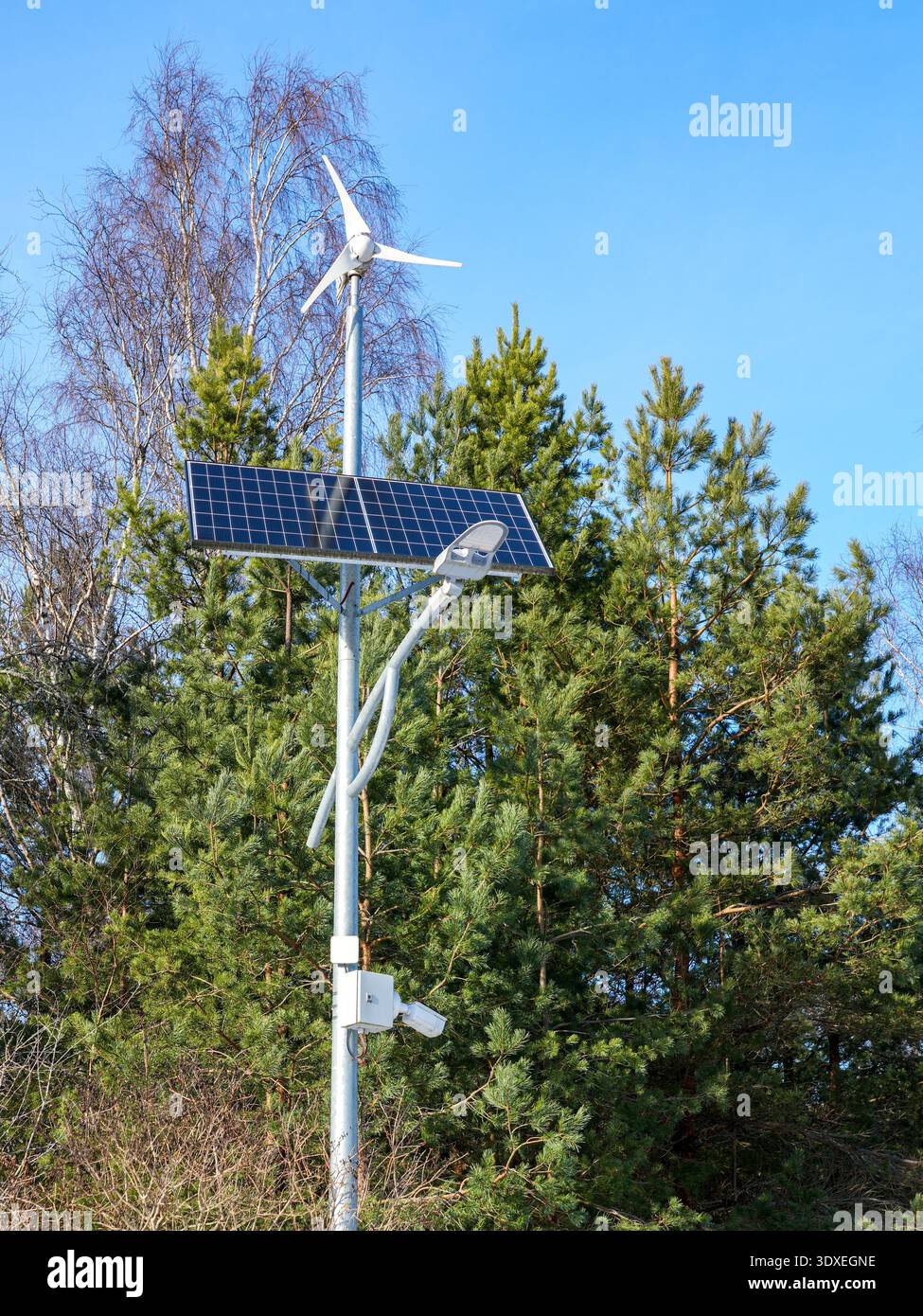 Panneau solaire et réverbère de turbine à vent avec caméra de surveillance dans un cadre forestier Banque D'Images