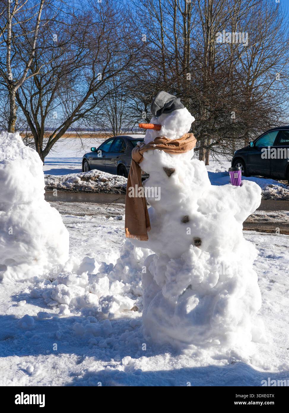 Bonhomme de neige avec nez de carotte et écharpe sur la scène de neige extérieure Sunny Winter Day Banque D'Images