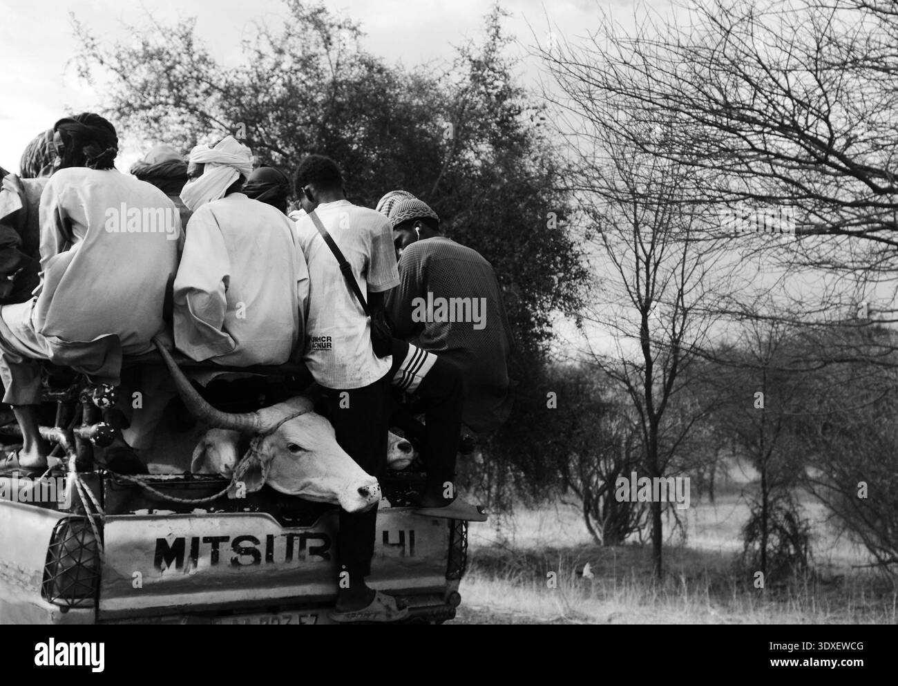 Hommes sénégalais sur une camionnette Mitsubishi dans le centre du Sénégal. Banque D'Images