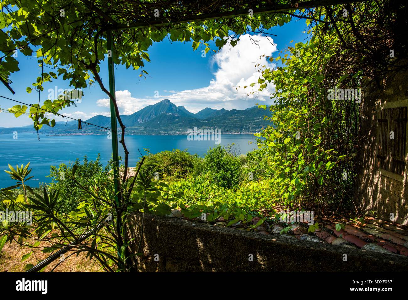 Vue sur le lac garda algo eau avec montagnes côtes du lac garda paysage du lac garda avec des montagnes et la nature près de Torri del Benaco près du lac Ga Banque D'Images