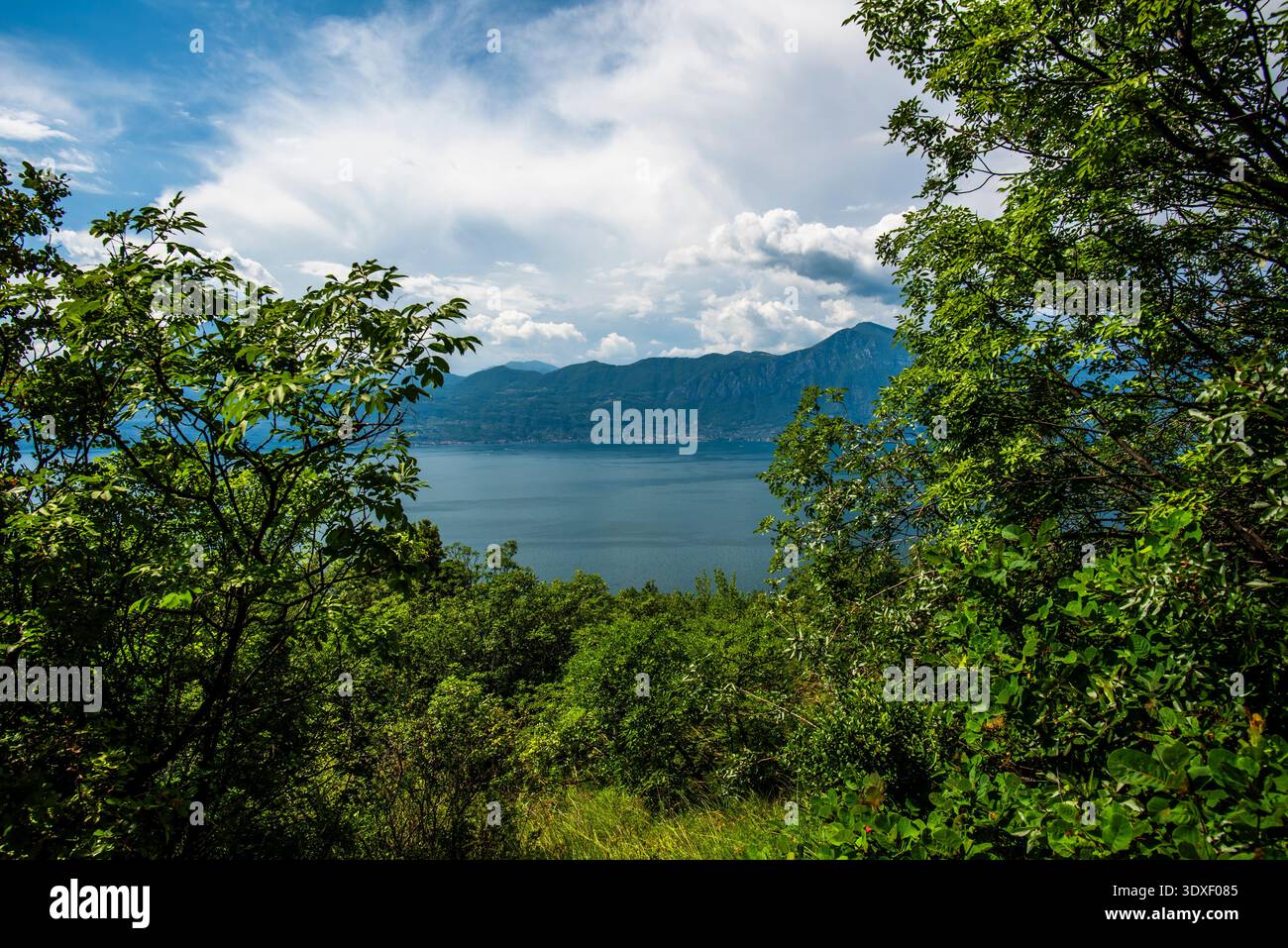 Vue sur le lac garda algo eau avec montagnes côtes du lac garda paysage du lac garda avec des montagnes et la nature près de Torri del Benaco près du lac Ga Banque D'Images