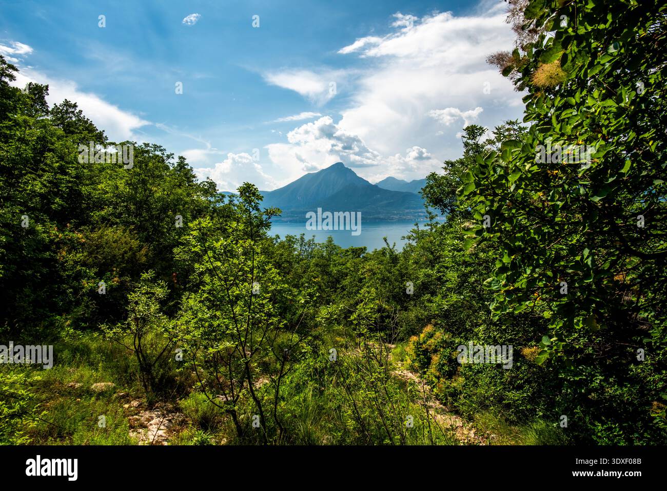 Vue sur le lac garda algo eau avec montagnes côtes du lac garda paysage du lac garda avec des montagnes et la nature près de Torri del Benaco près du lac Ga Banque D'Images