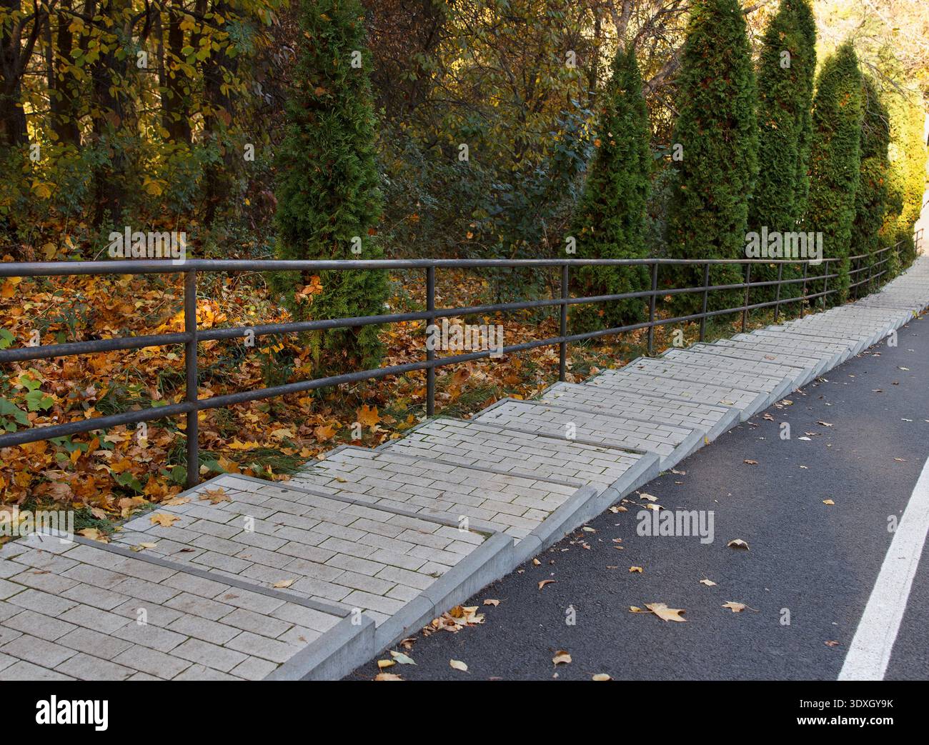 Un escalier pavé avec une main courante métallique longe une route asphaltée. La scène se déroule dans un parc en automne, avec des feuilles tombées colorées an Banque D'Images
