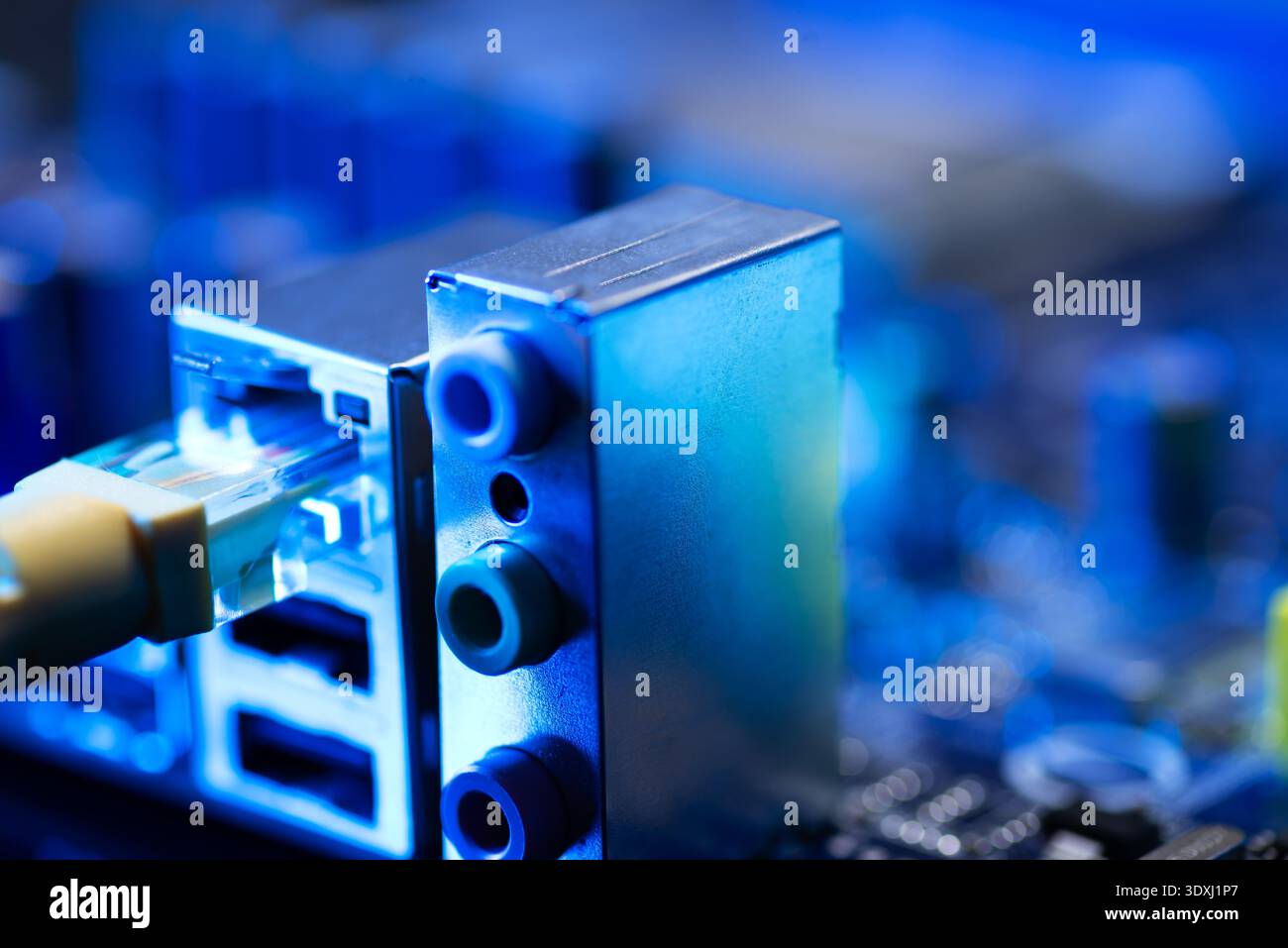 Câbles à fibres optiques connectés aux ports optiques et câbles réseau connectés aux ports Internet Banque D'Images