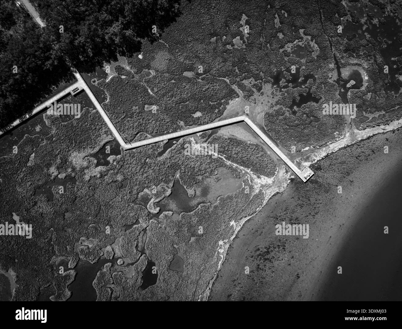 Vue aérienne en noir et blanc montrant une longue promenade angulaire traversant des marais salés denses et des chenaux de marée. La trajectoire géométrique droite plie i. Banque D'Images