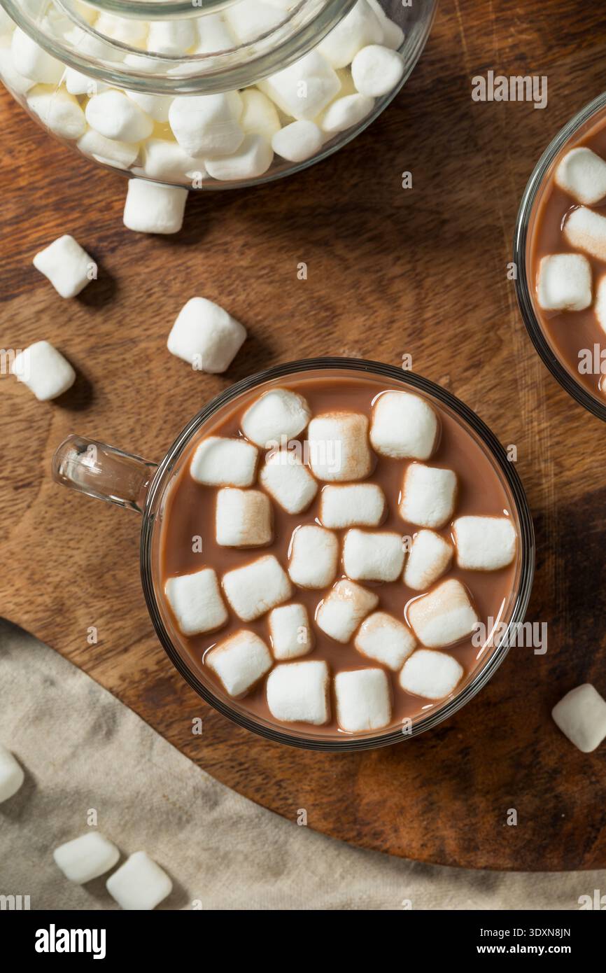 Chocolat chaud doux bio avec guimauves dans une tasse Banque D'Images