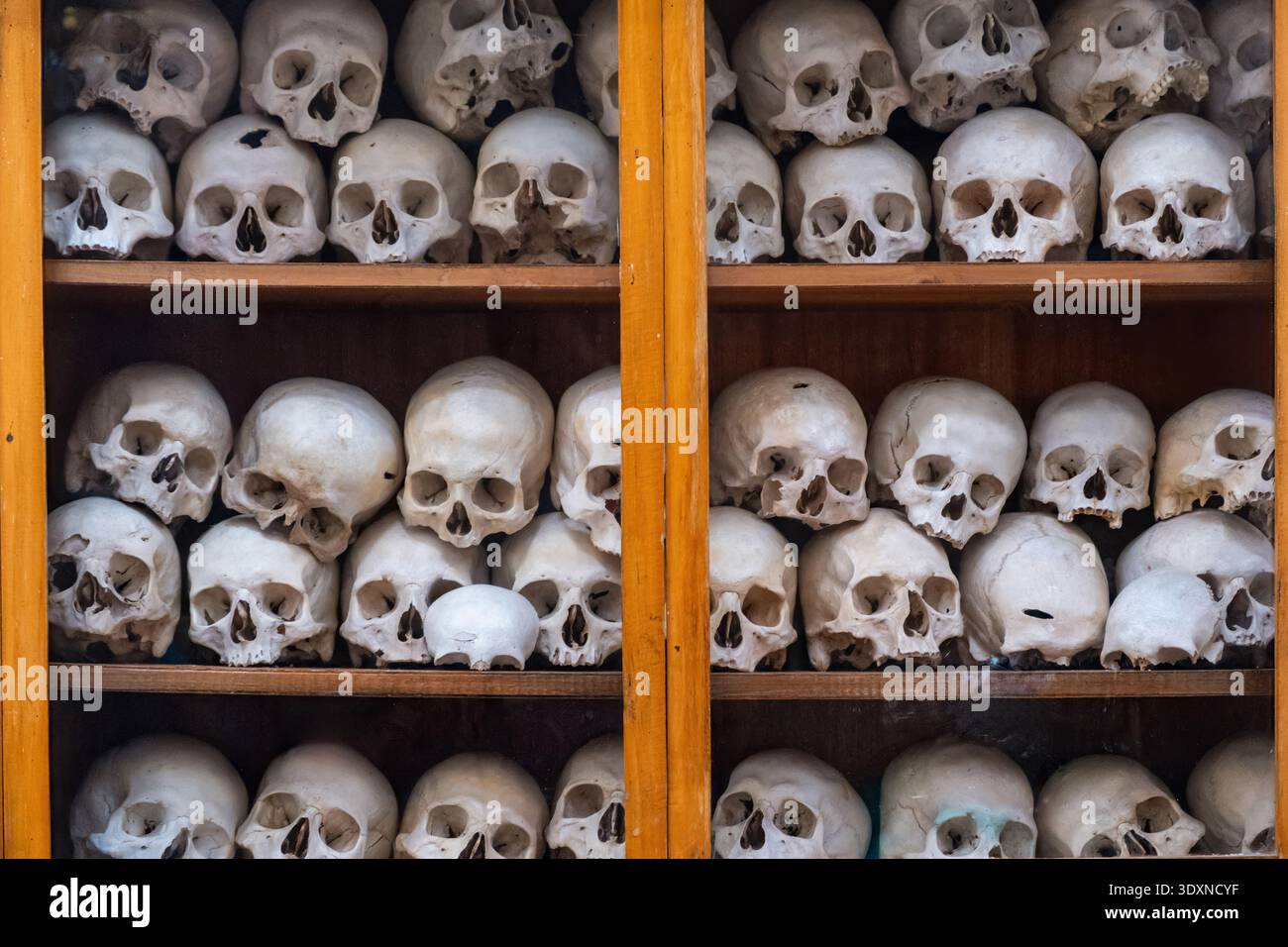Crânes humains empilés sur des étagères en bois à l'intérieur d'une armoire ossuaire au monastère de Nea Moni sur l'île de Chios, en Grèce Banque D'Images