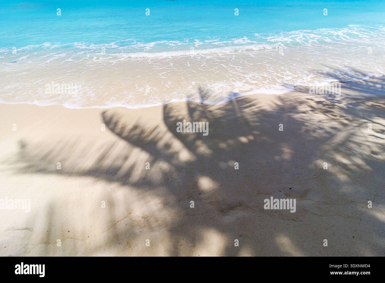 Le sable doré rencontre les vagues turquoises. L'ombre des palmiers s'étend sur toute la plage. La lumière du soleil danse sur l'eau ondulée. Moment serein au bord de l'océan. Banque D'Images