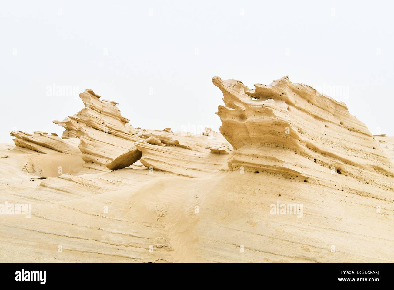Structures de dunes fossiles. Abu Dhabi, Émirats arabes Unis. Destination de voyage célèbre à l'extérieur de capitsl Banque D'Images