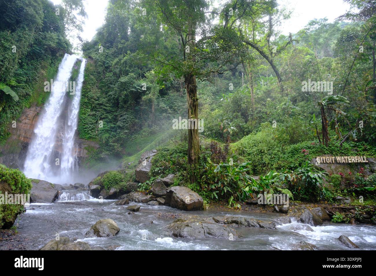 L'emblématique cascade de Gitgit descend en cascade à 35 mètres sur une falaise rocheuse, entourée d'une forêt tropicale luxuriante et d'un feuillage vert dense dans le nord de Bali. Banque D'Images