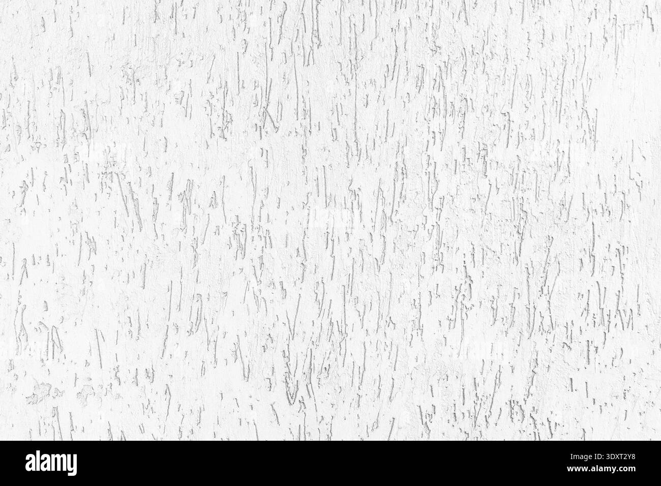 Texture de plâtre de coléoptère blanc d'écorce. Mur de ciment blanchi à la chaux grunge. Fond texturé abstrait clair Banque D'Images