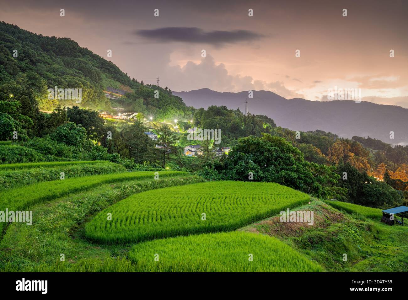 Obasute, Nagano, Japon rizières en terrasses au crépuscule. Banque D'Images