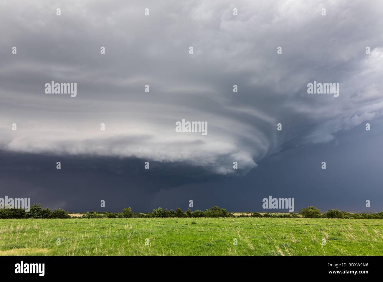 Nuages d'orage sombres au-dessus d'un champ d'herbe verte dans le Nebraska Banque D'Images