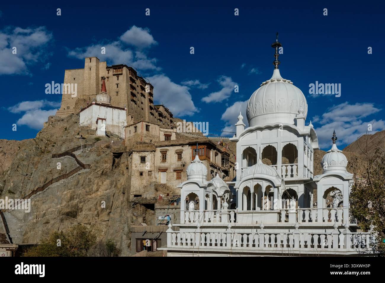 Le Gurudwara blanc orné de Leh est situé en face du palais historique de Leh, qui est perché sur les falaises accidentées du flanc de la montagne. Banque D'Images