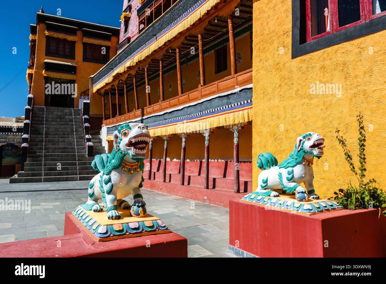 Deux statues colorées de lion des neiges se dressent dans la cour du monastère de Thiksey avec pour toile de fond les bâtiments traditionnels du temple. Banque D'Images