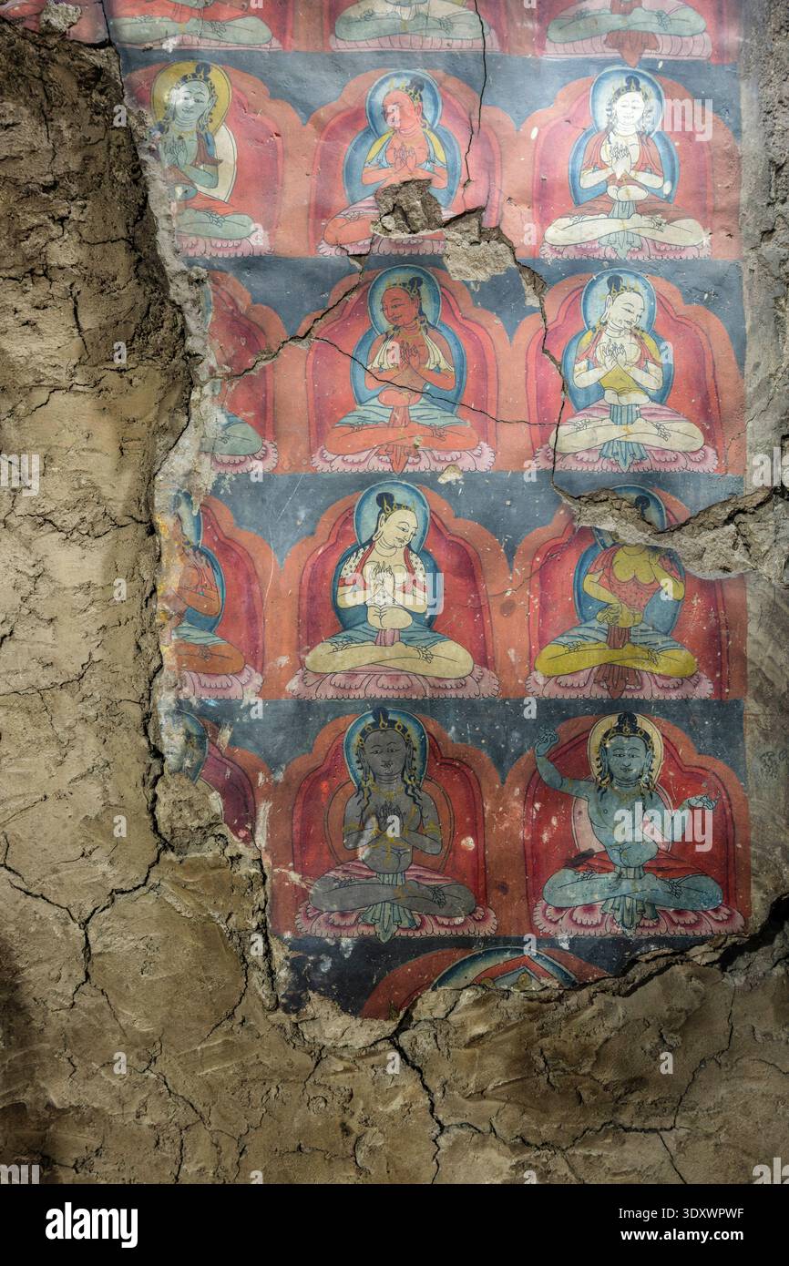 Rangées de petites figures de Bouddha peintes sur un mur de plâtre altéré et fissuré à l'intérieur de l'ancienne Thiksey Gompa. Banque D'Images