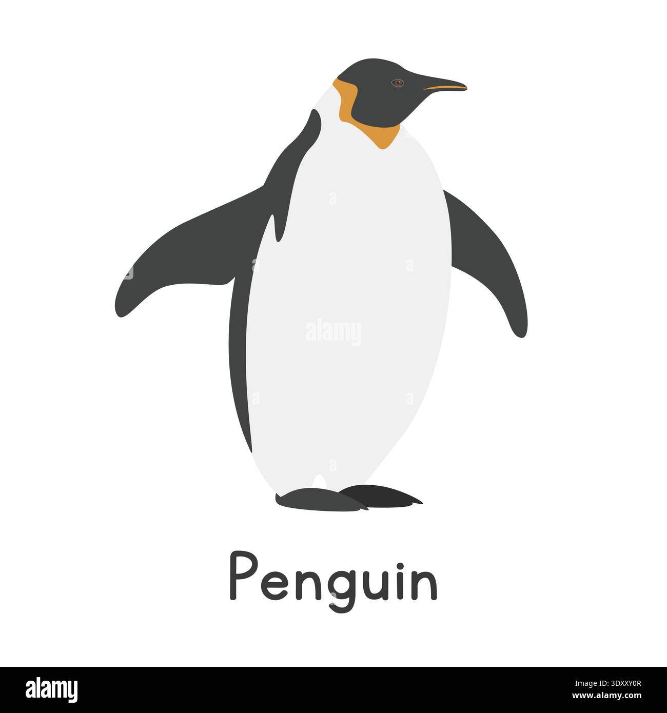 Illustration vectorielle de pingouin. Mignon manchot empereur ou clipart de dessin animé manchot roi, animal dans le style plat. Animaux marins, créatures sous-marines Illustration de Vecteur