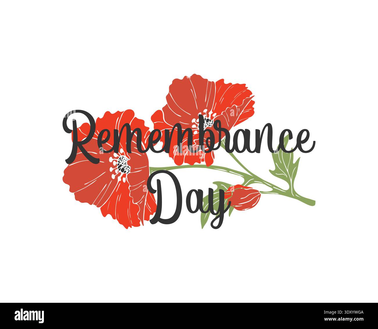 Lettrage du jour du souvenir avec des fleurs de coquelicot dessinées à la main, sur fond blanc. Illustration vectorielle Illustration de Vecteur