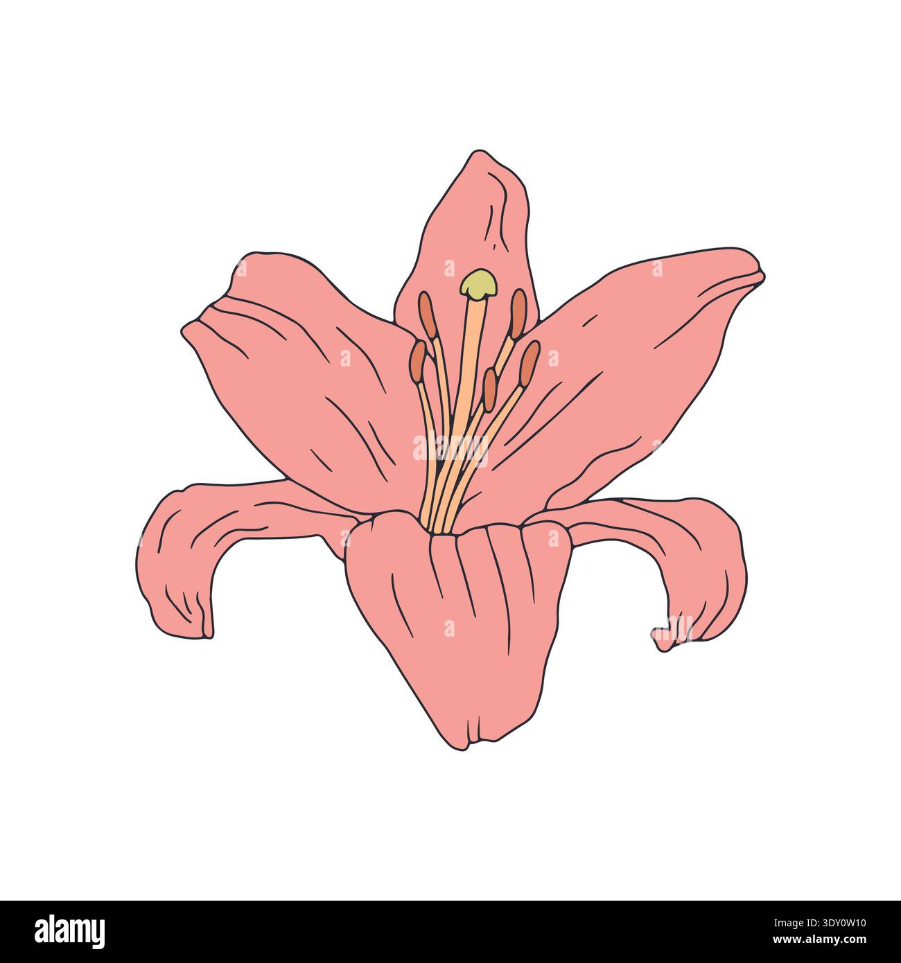 Ligne dessinée à la main art pastel rose fleur de lys clip art Illustration de Vecteur