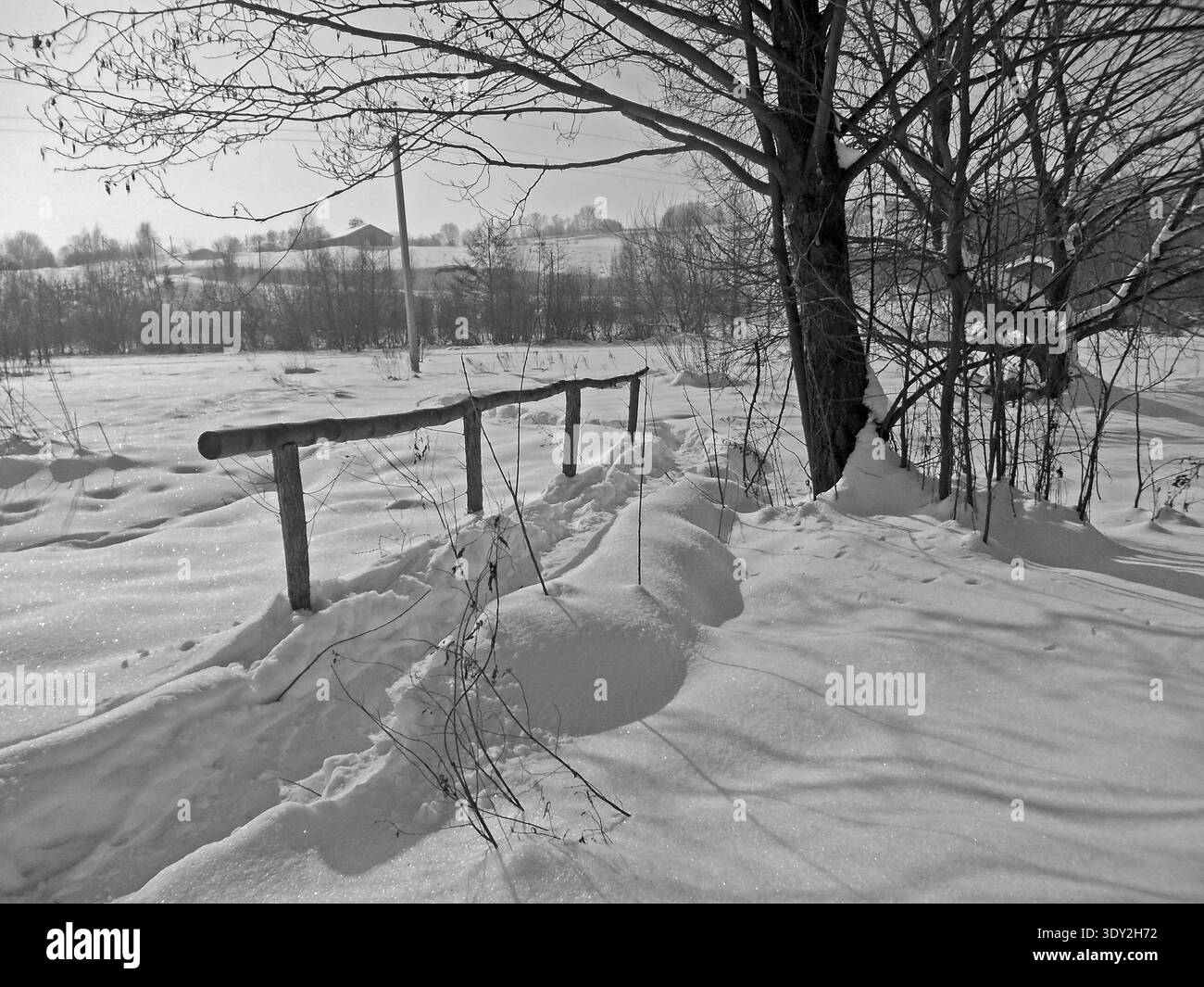Paysage d'hiver sur l'espace couvert. Il y a des traces sur la neige. Routes et chemins d'hiver. Arbres et végétation dans la neige. Banque D'Images
