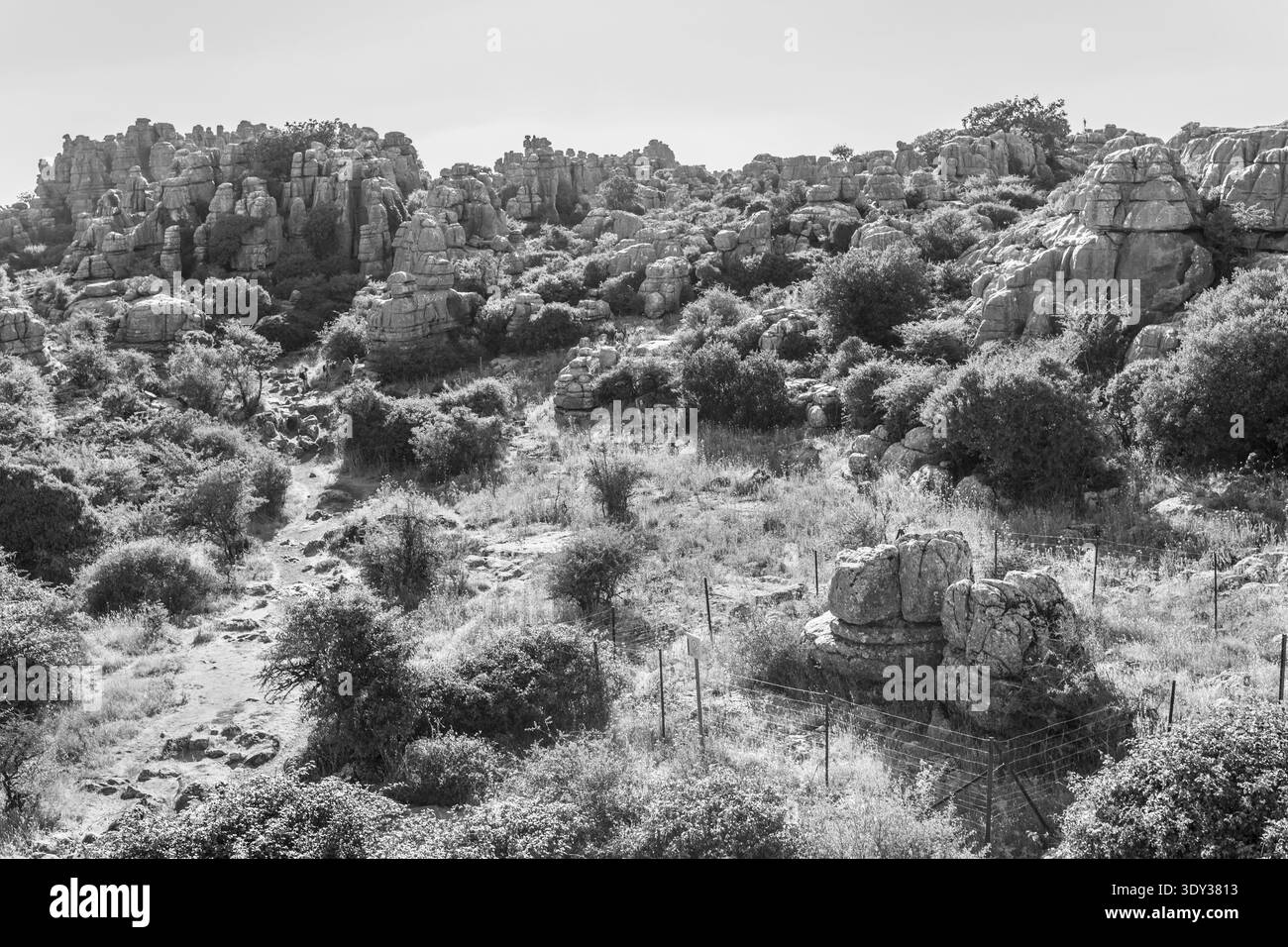 Vue monochrome des formations rocheuses rocheuses de calcaire accidentées et de la végétation naturelle dans le parc naturel Torcal de Antequera. Banque D'Images