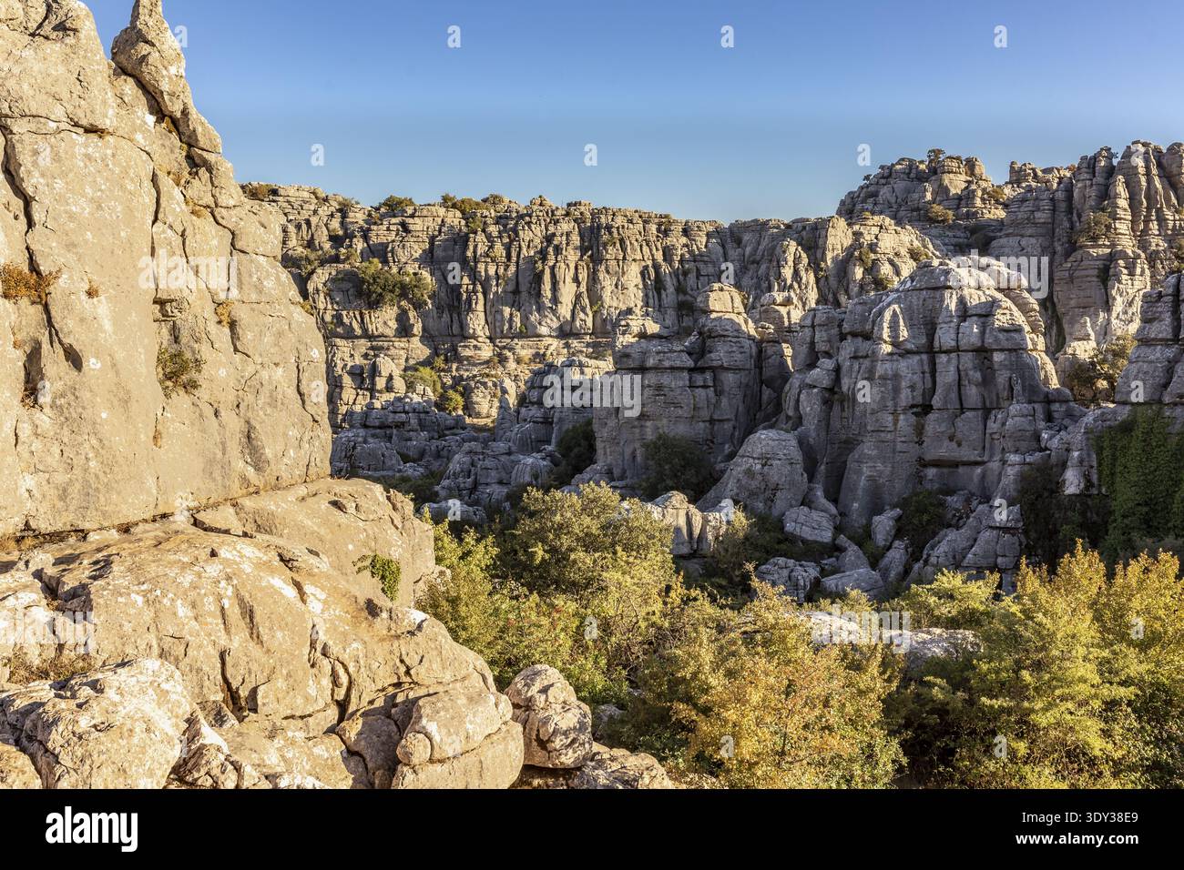 Paysage karstique spectaculaire avec des roches calcaires escarpées et une végétation verte en Andalousie, Espagne Banque D'Images