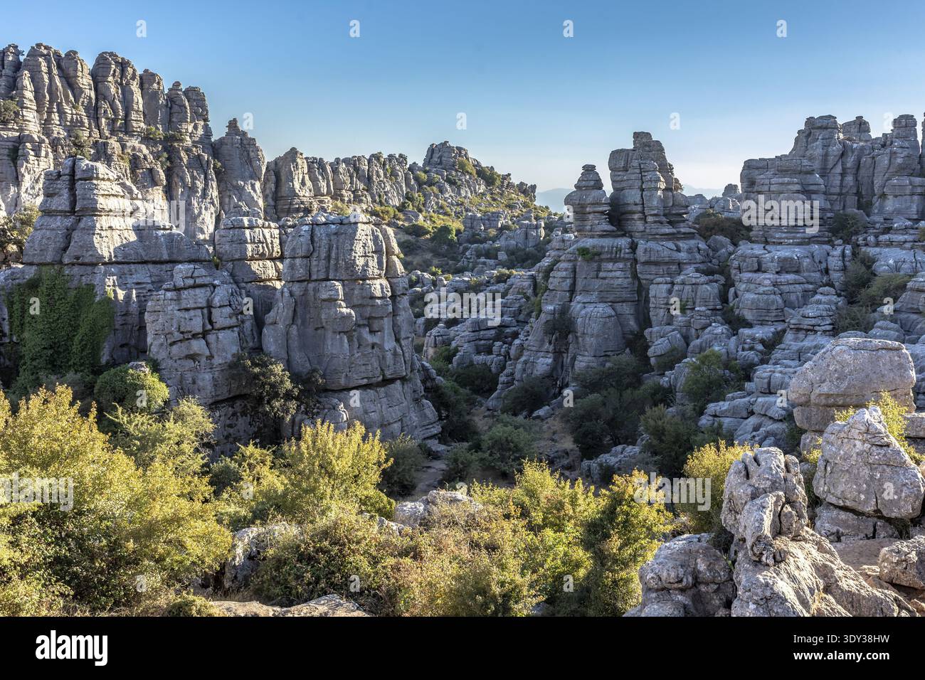 Paysage naturel spectaculaire de Torcal de Antequera avec des roches calcaires déchiquetées et une végétation verte sous la lumière du soleil Banque D'Images