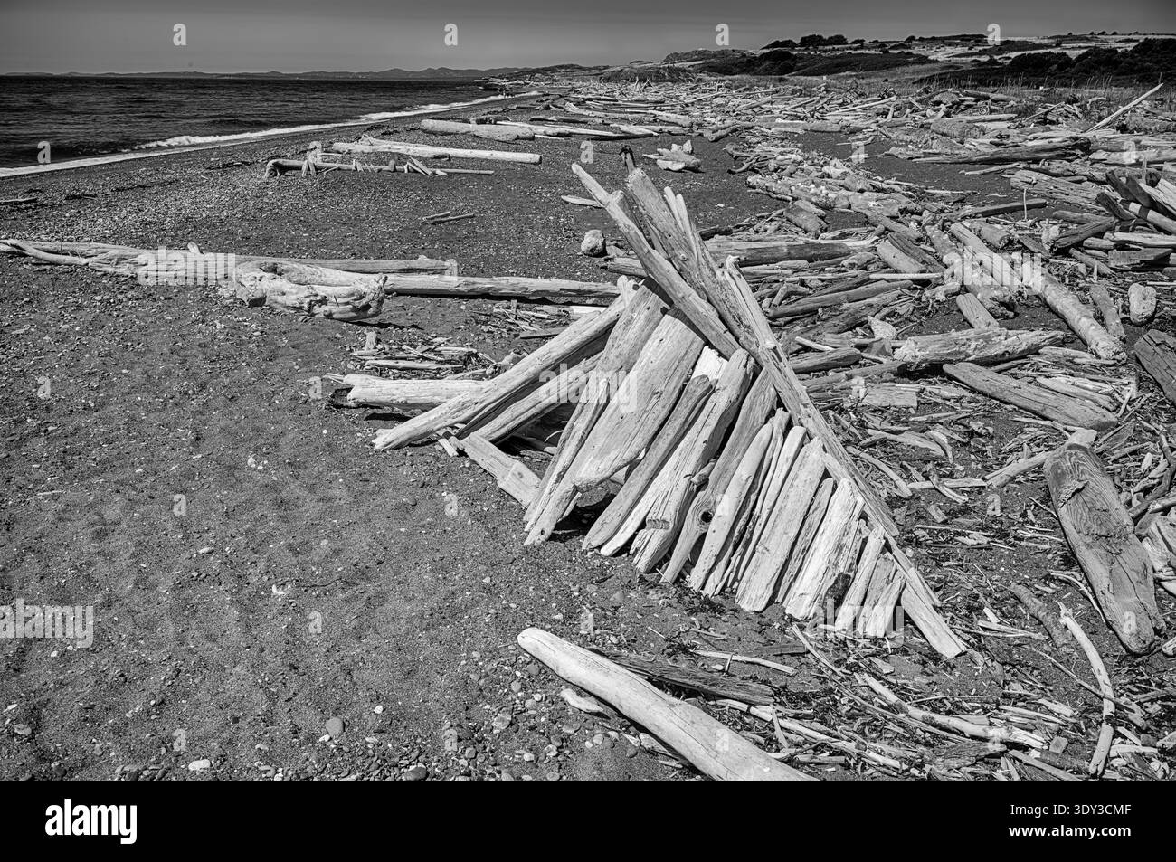 Un abri maigre est construit sur South Beach sur l'île de San Juan à partir de rondins de bois flotté qui ont échoué sur la plage. Banque D'Images