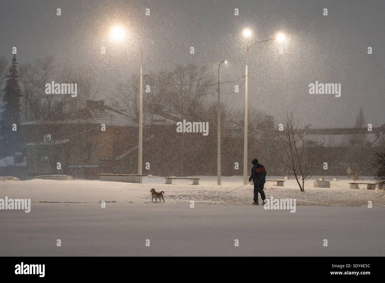 Fortes chutes de neige, gel et blizzard en ville, personne méconnaissable promenant le chien à l'extérieur dans la zone du parc. Banque D'Images