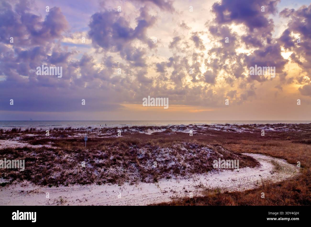 Les dunes hummocheuses sont photographiées au coucher du soleil sur la plage de Bienville, le 4 mars 2026, sur l'île de Dauphin, en Alabama. Banque D'Images