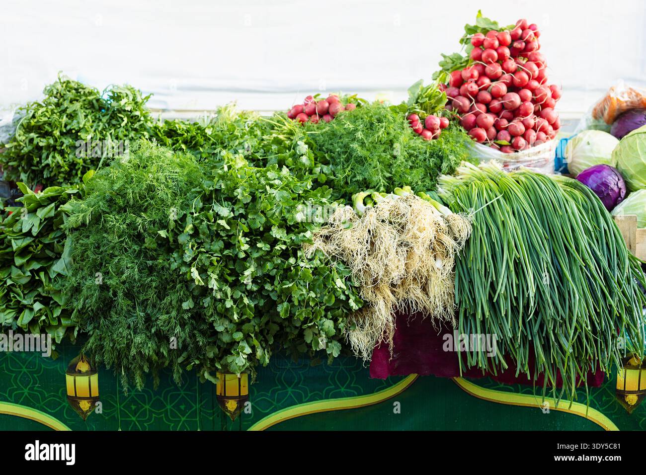 Bouquet frais d'herbes vertes, radis gros plan à l'étal du marché. Aneth, coriandre, persil, oignons verts, pyramide de radis rouge, verts feuillus éclatants. Samarka Banque D'Images