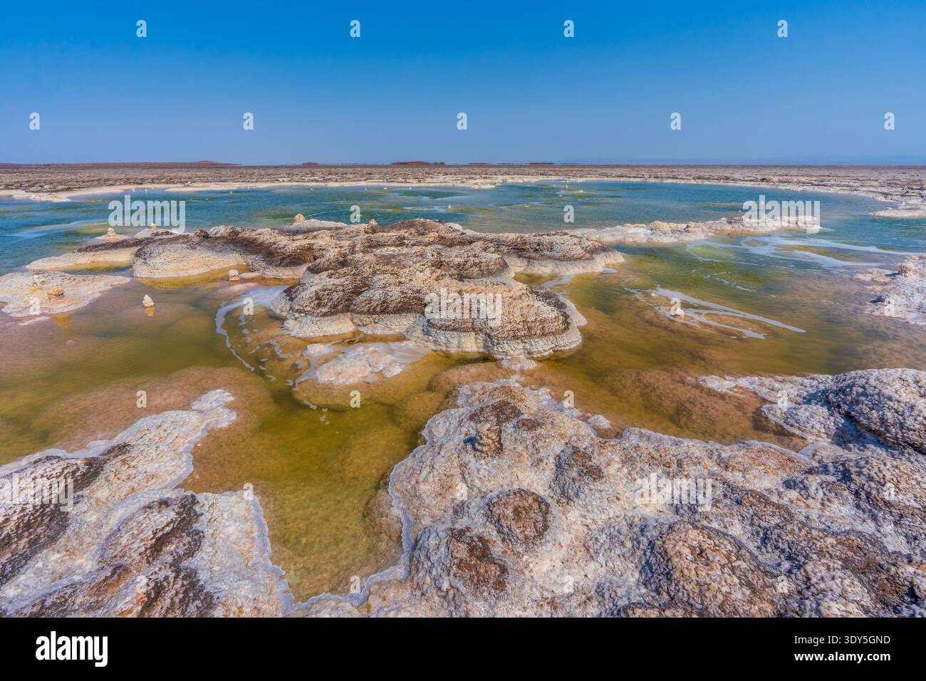 Piscine naturelle d'eau salée claire, dépression de Danakil, région de l'Afar, Ethiopie, Afrique Banque D'Images