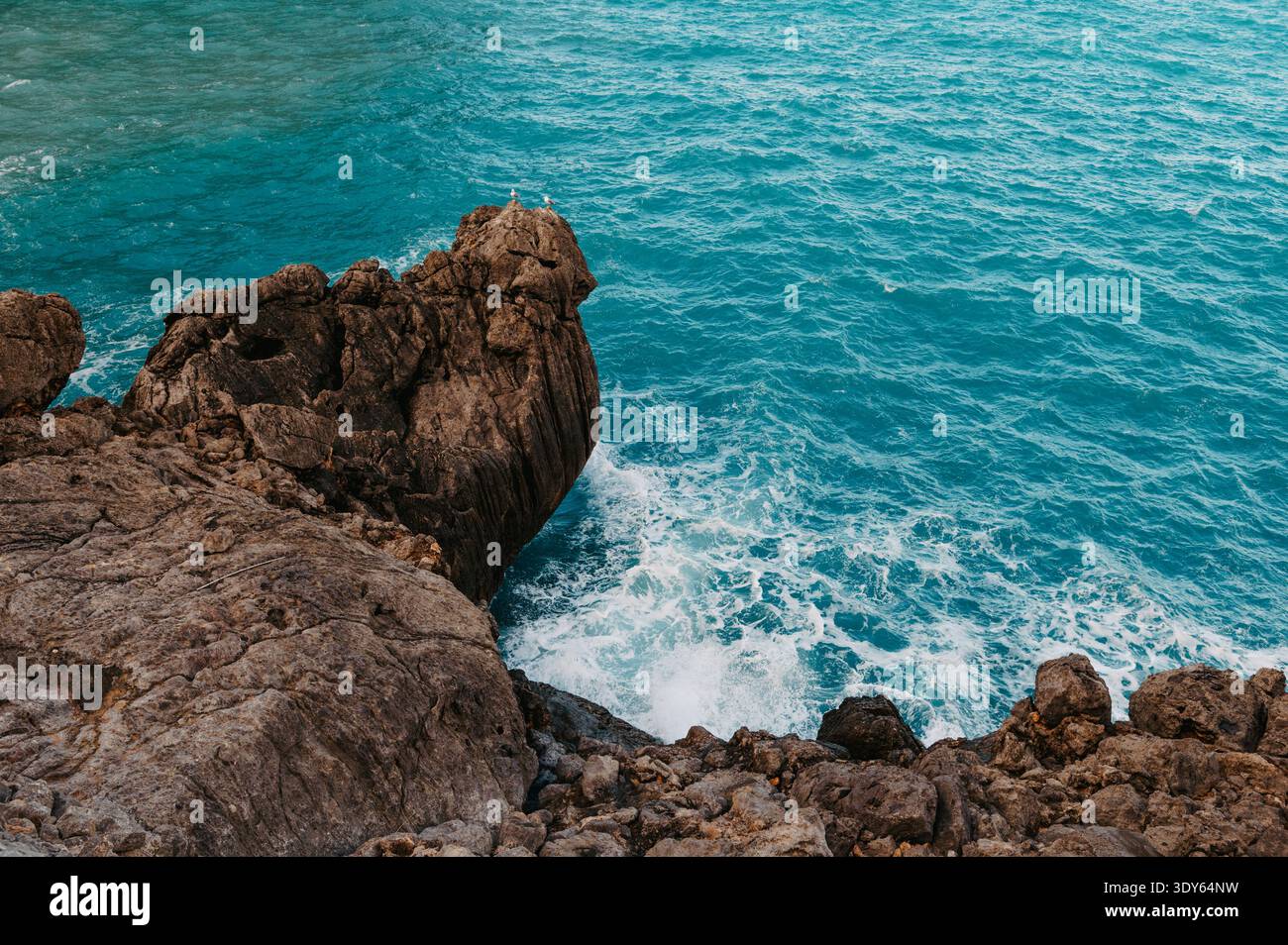 Mouettes sur rocher au-dessus de la mer turquoise, sa Calobra Mallorca Banque D'Images