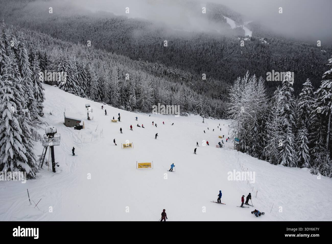 Vue sur la piste de ski avec beaucoup de skieurs à Whistler Blackcomb Banque D'Images