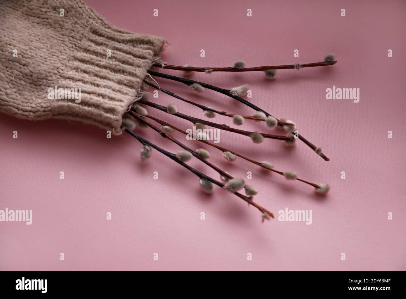 Vue rapprochée des chatons de saule provenant d'un pull tricoté texturé Banque D'Images