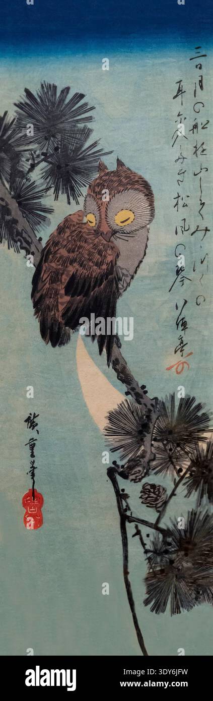 Hibou sur Pine Branch, Utagawa Hiroshige, années 1830, Banque D'Images