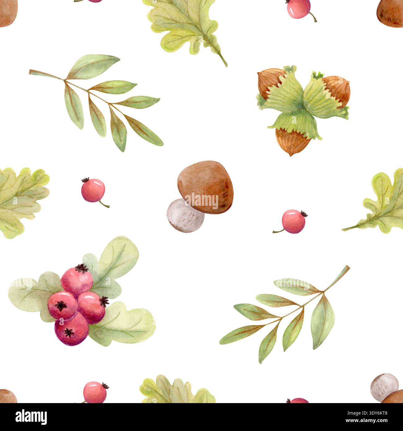 Motif sans couture de forêt d'automne avec des feuilles, des baies, des champignons et des noisettes. Fond botanique d'automne d'aquarelle dessiné à la main. Banque D'Images