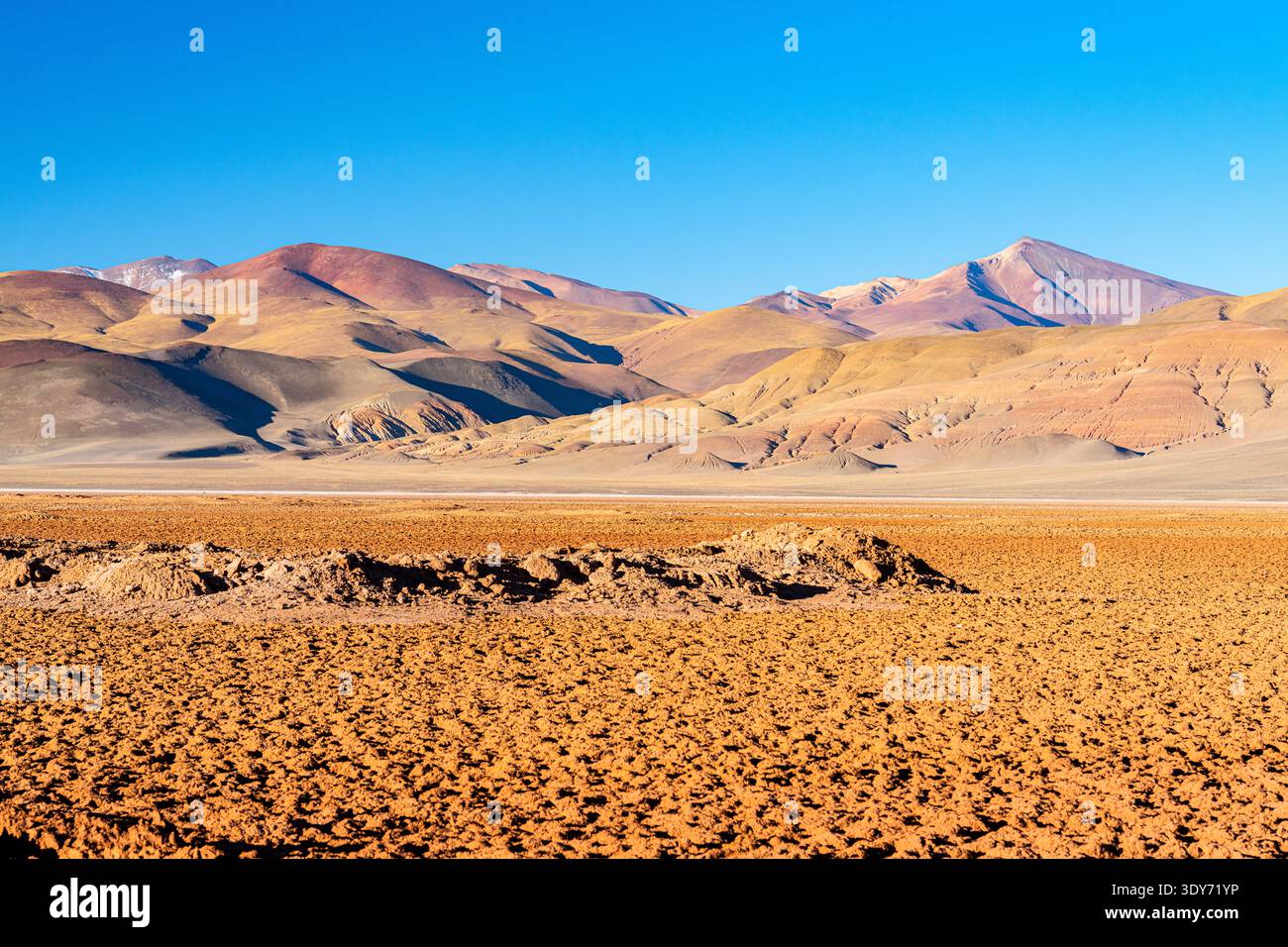 Exploration de la vaste terre aride de Salar de Pocitos avec des montagnes en arrière-plan en Argentine Banque D'Images