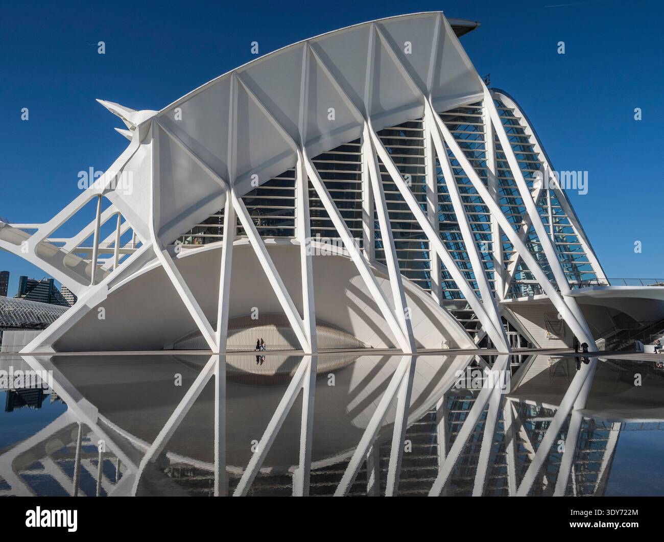 Explorer l'architecture unique du Museu de les Ciences à Valence, en Espagne, pendant une journée ensoleillée Banque D'Images