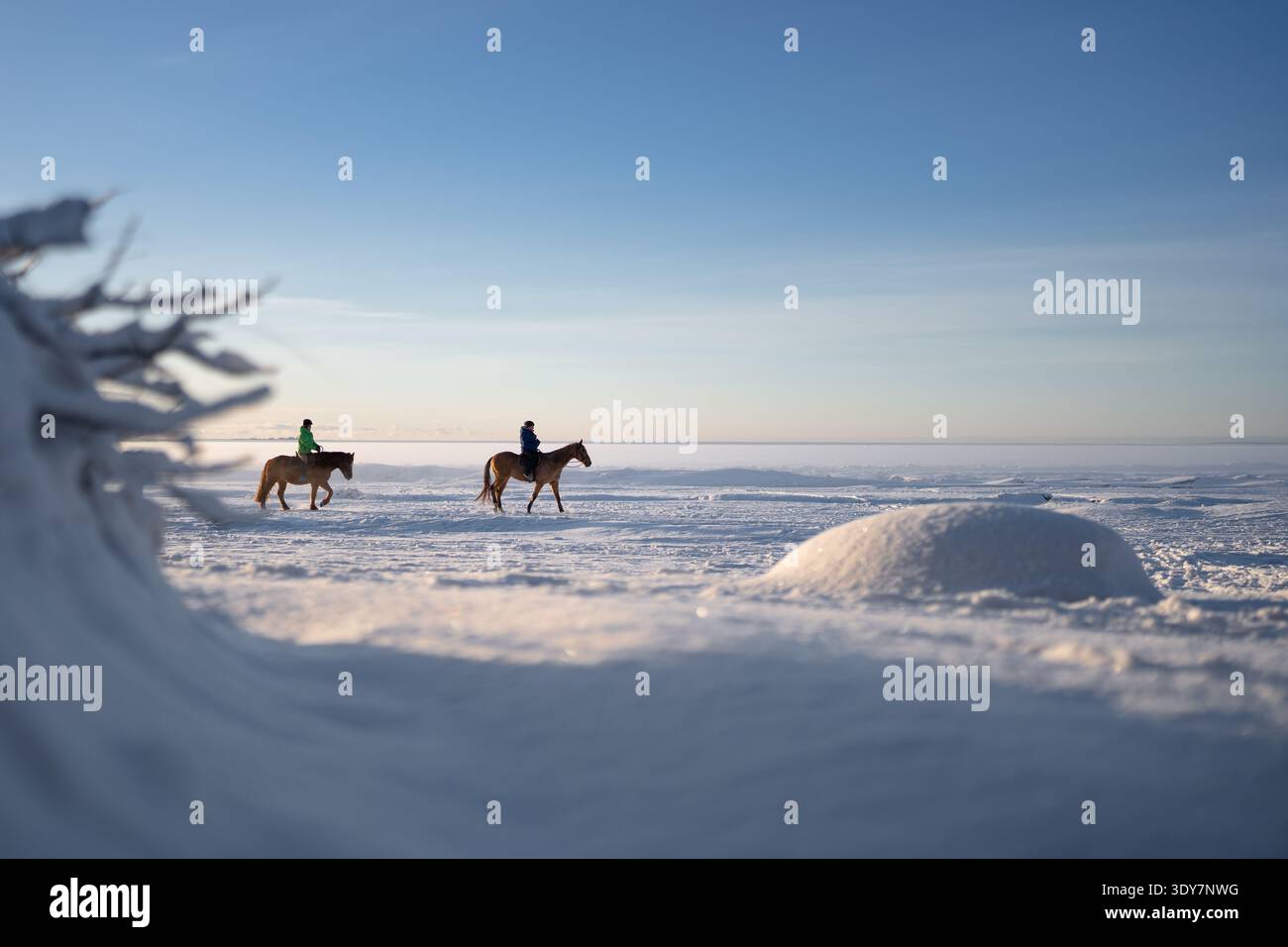 Les gens apprécient la marche quotidienne sur les chevaux, chevauchant le rivage gelé du lac sur la journée d'hiver ensoleillée glaciale. Banque D'Images