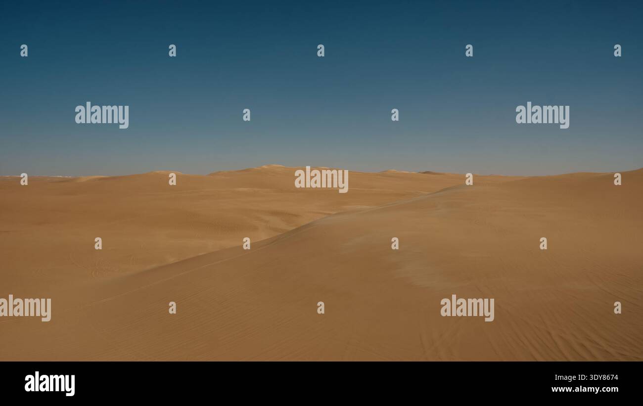Sand dunes in desert Banque D'Images