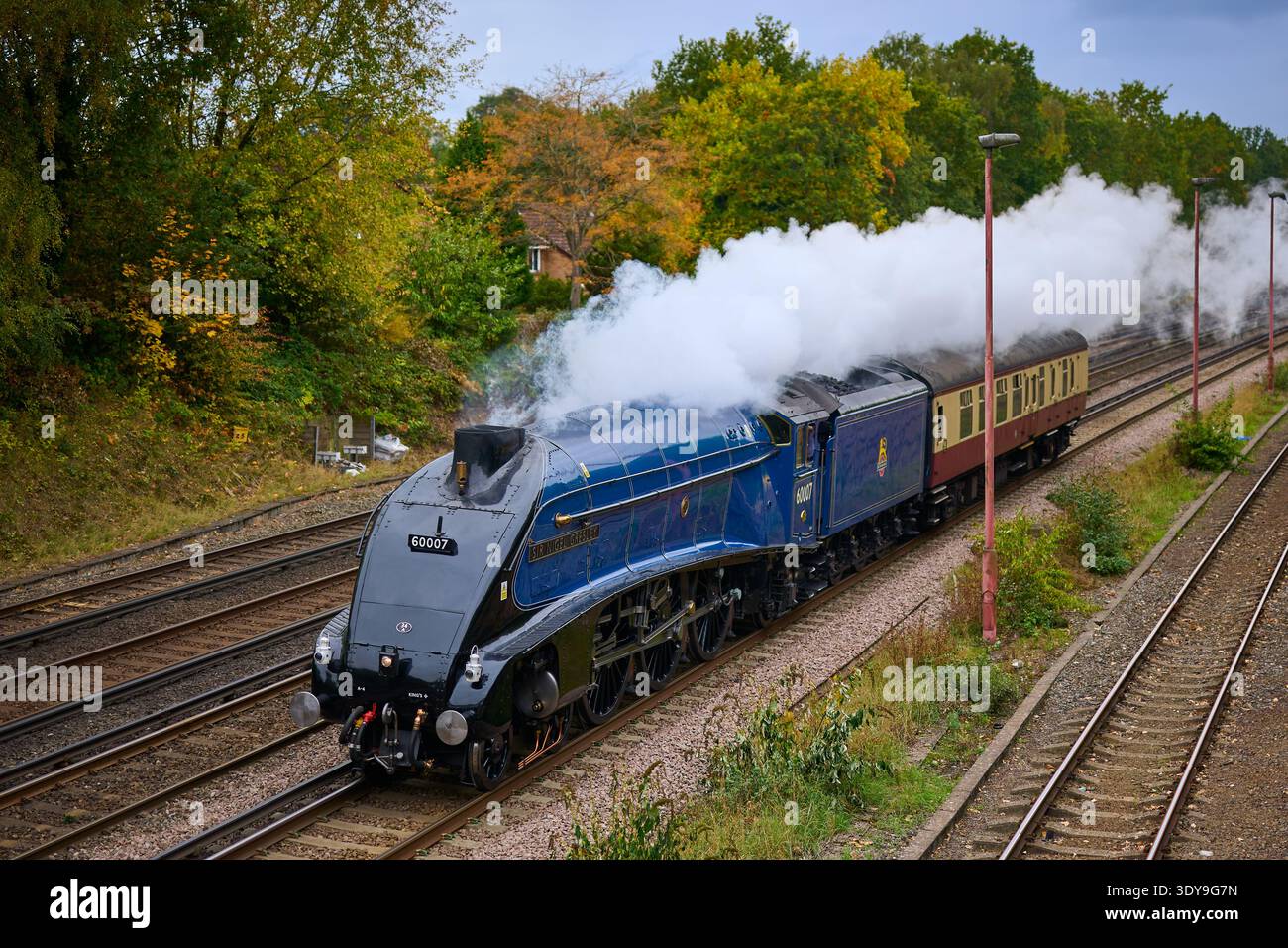 Class A4 60007 Sir Nigel Gresle approchant de Woking, Surrey, de retour de la Watercress Line le 16 octobre 2025 Banque D'Images