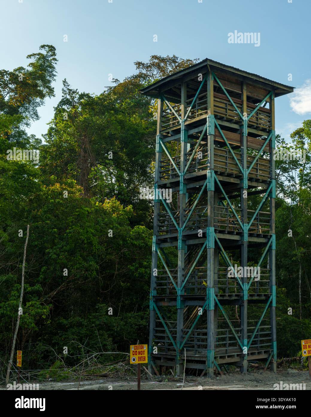 Une tour de guet en bois à plusieurs niveaux se dresse au bord d'une zone défrichée bordée par une forêt tropicale dense. Banque D'Images