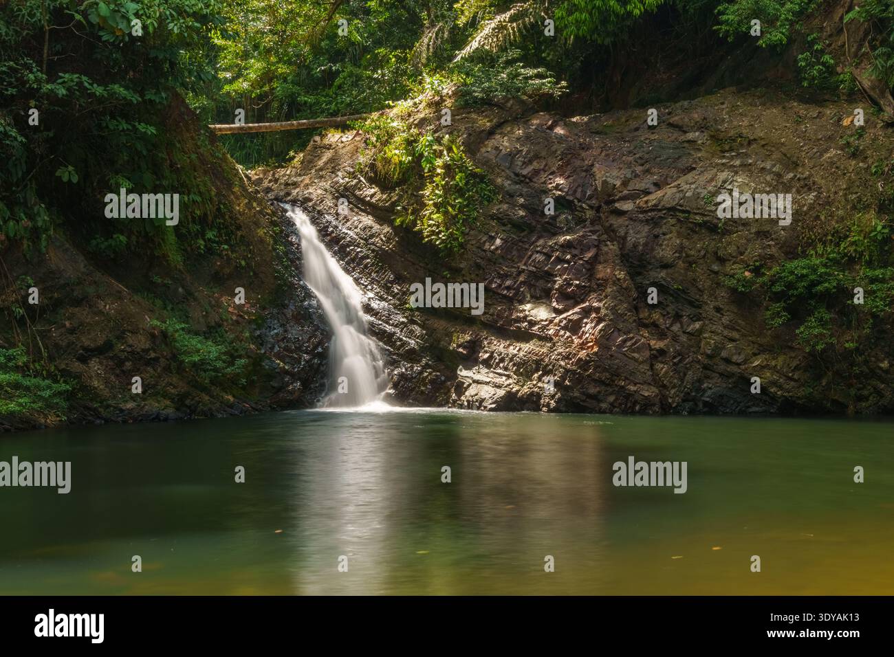 Une petite cascade de forêt tropicale se jette dans une piscine forestière à côté d'un mur de roche à Bornéo, en Malaisie. Banque D'Images
