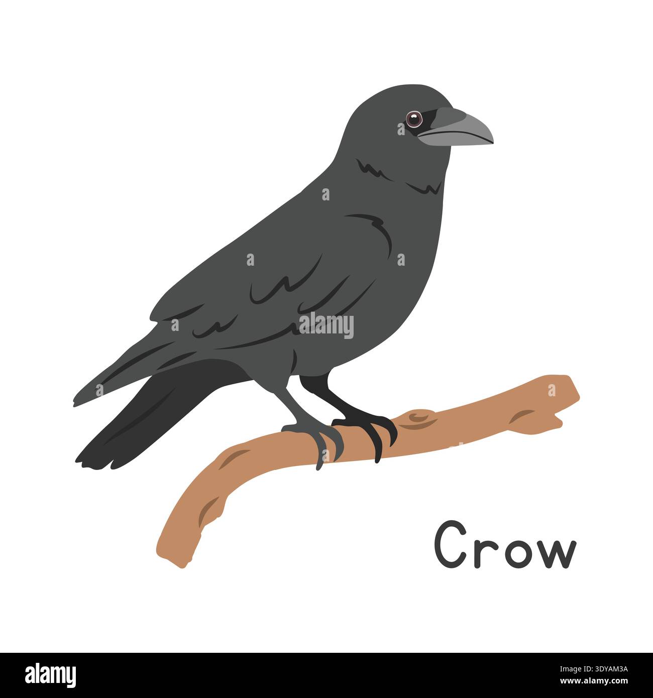 Corbeau noir perché sur l'illustration vectorielle de branche d'arbre, personnage clipart de bande dessinée, animal dans le style plat. Animaux sauvages, aviaire, concept d'oiseaux Illustration de Vecteur