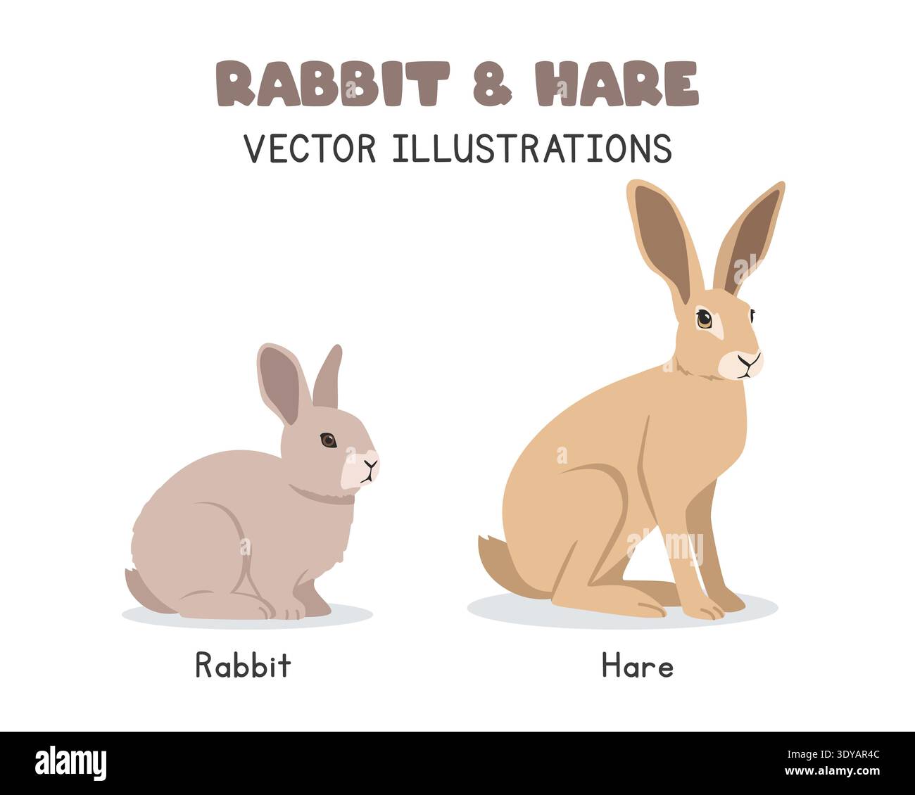 Illustrations vectorielles de comparaison lapin et lièvre. Joli lapin vs lièvre clipart de dessin animé dans un style plat. Animaux de compagnie, concept d'animaux de ferme Illustration de Vecteur